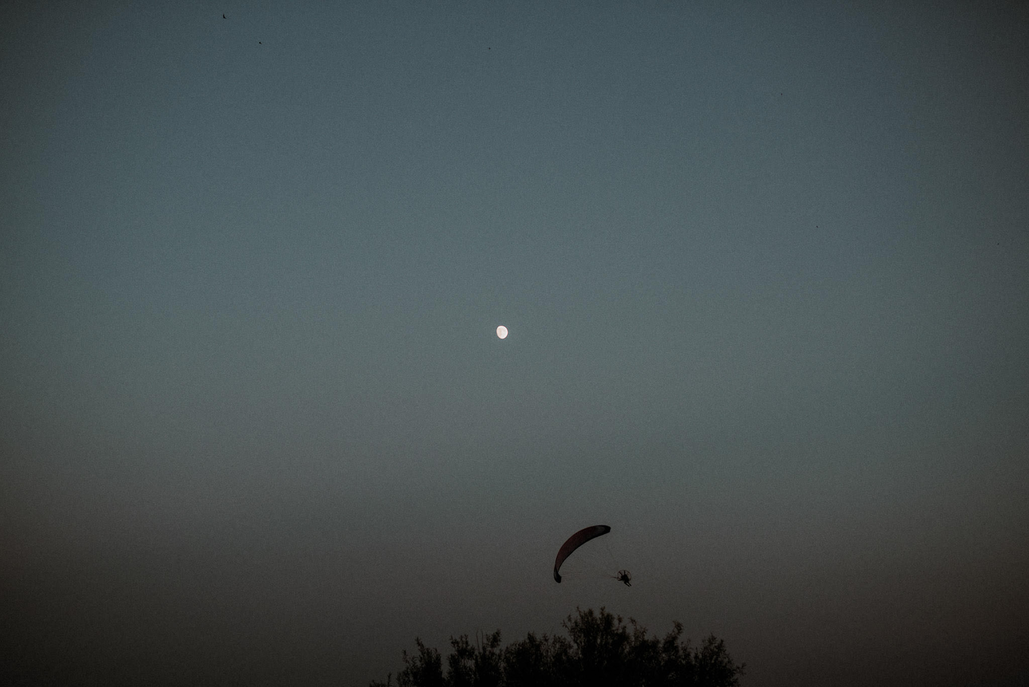 landscape with the moon and an unexpected guest