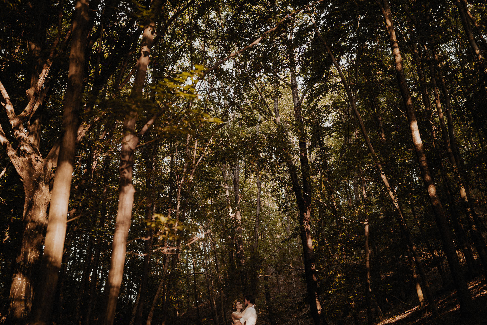 bride and groom surrounded by nature