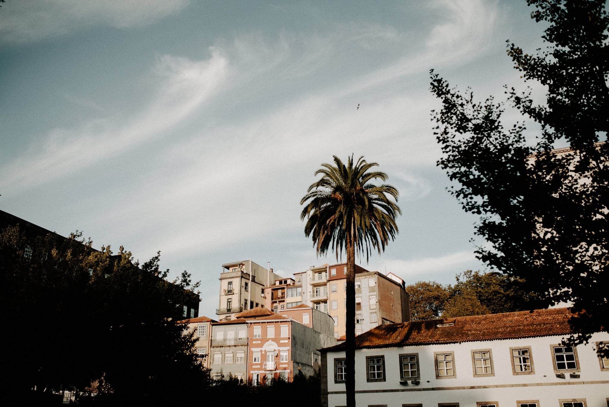 Jardim das Virtudes Porto