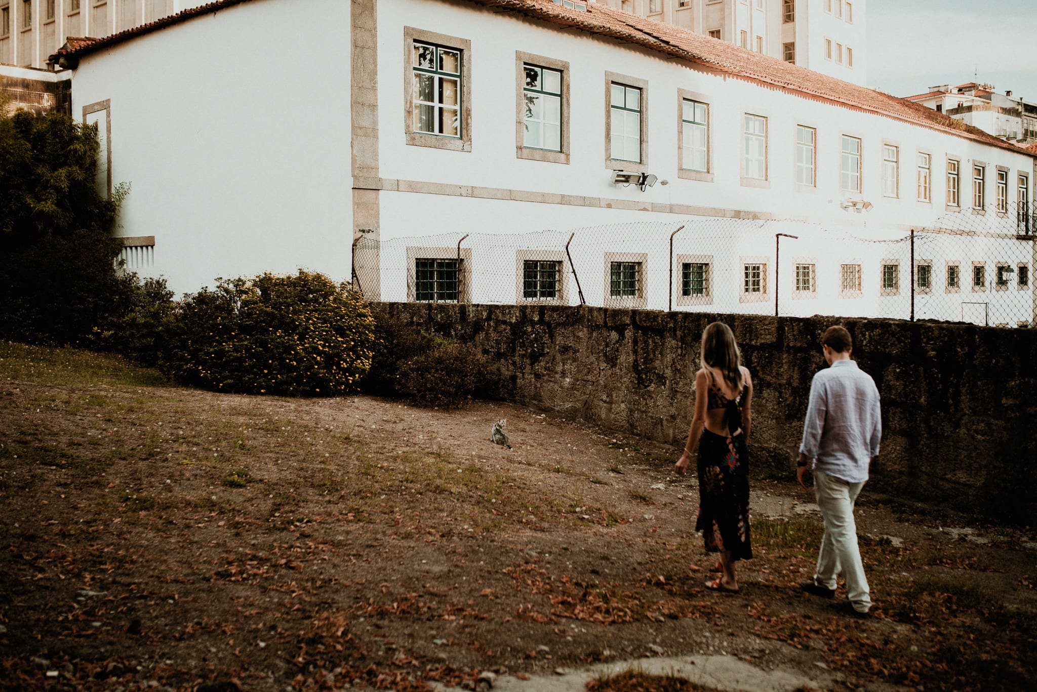 Fotografia casal no jardim encontro com um gato